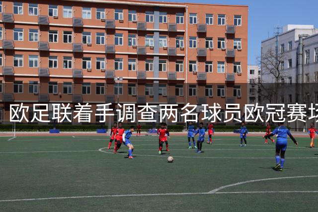 欧足联着手调查两名球员欧冠赛场不当行为